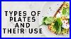 Types_Of_Plates_And_Their_Use_01_jk